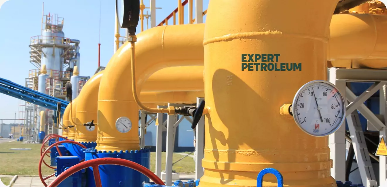 EXP PETROLEUM