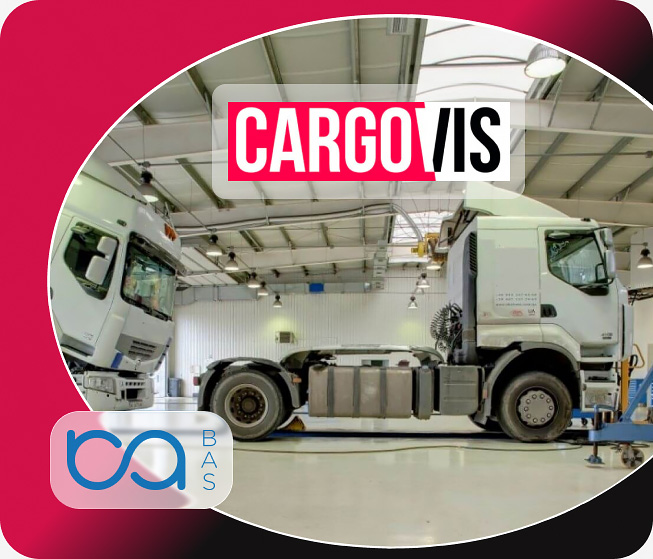 Cargovis фото 1